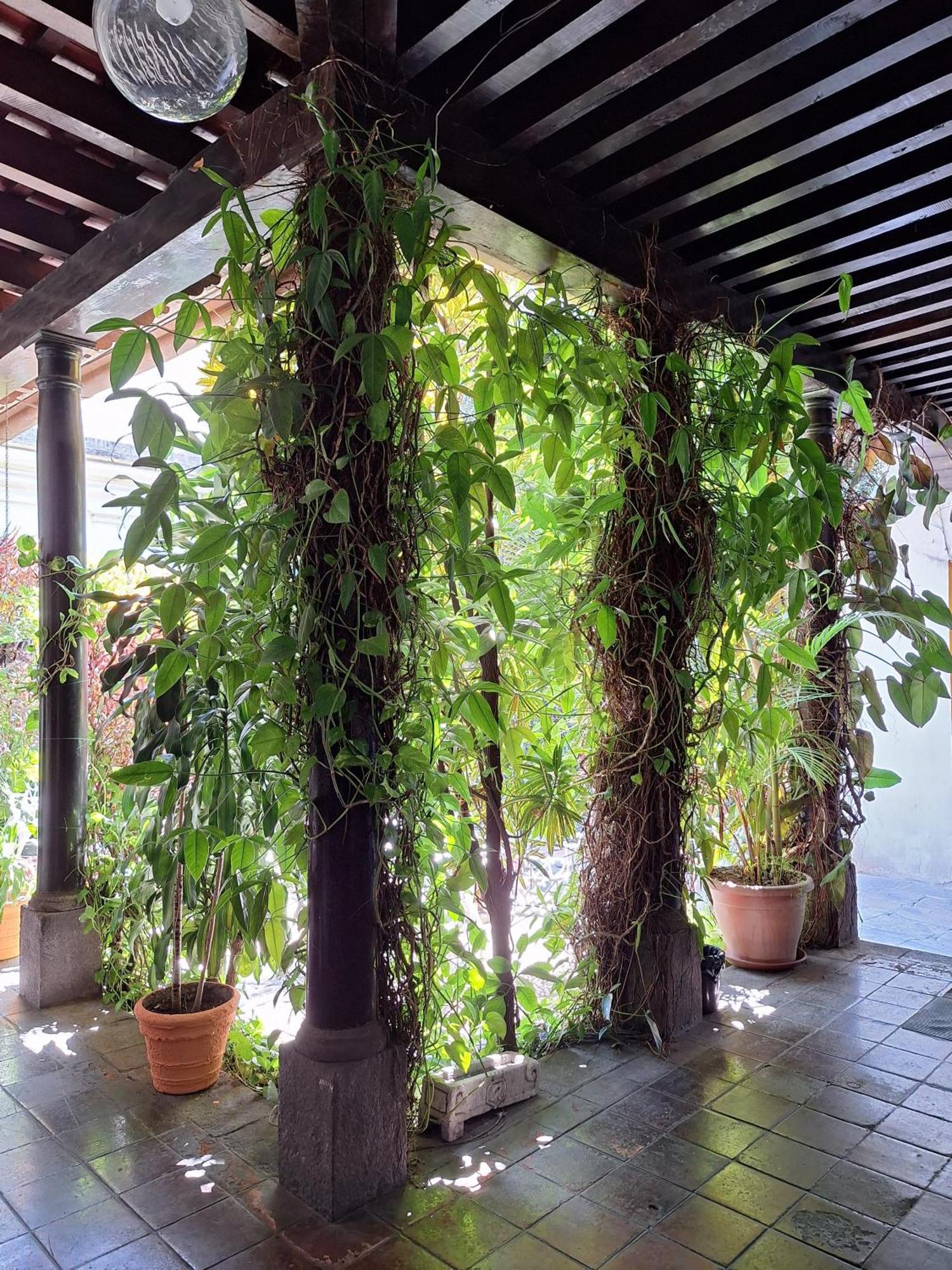 Hotel Spring Guatemala City Eksteriør bilde
